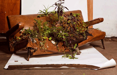 My Waste Is Your Waste